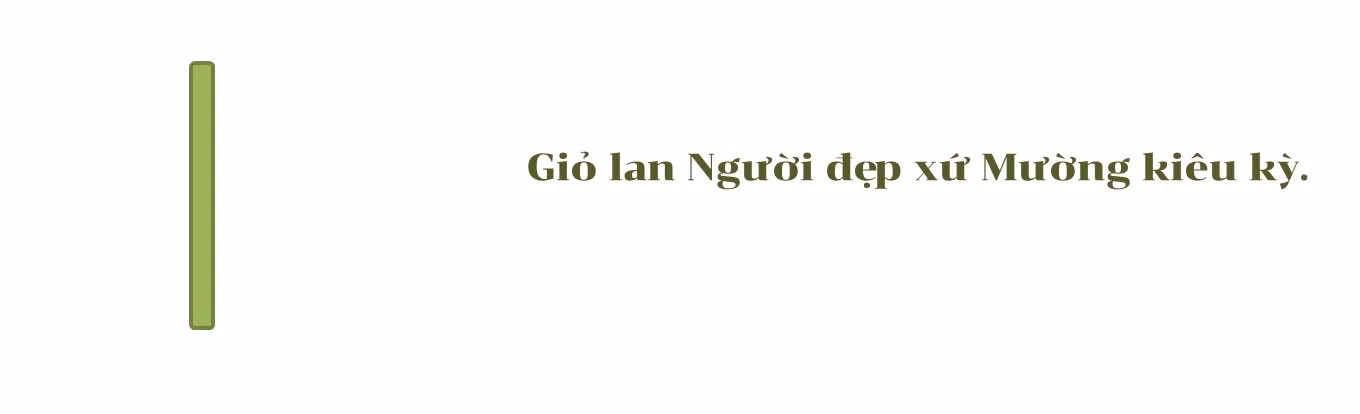 Mục sở thị những mặt hoa lan đột biến khiến thị trường hoa 'điên đảo' ảnh 4
