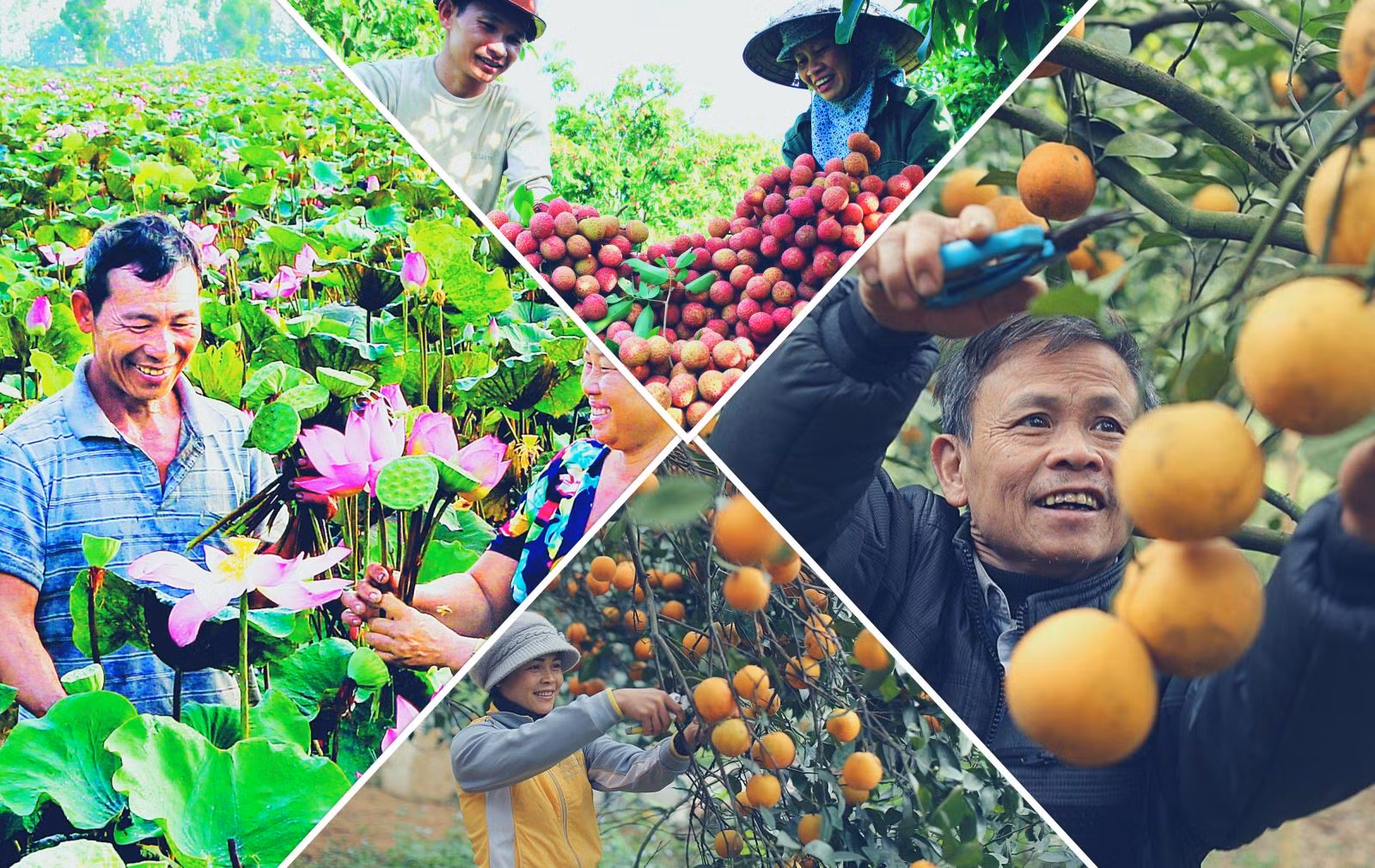 Kết quả là từ năm 2011 đến nay, Nhà nước đã ban hành nhiều chính sách tín dụng mới để không ai bị bỏ lại phía sau trong tiến trình phát triển kinh tế.