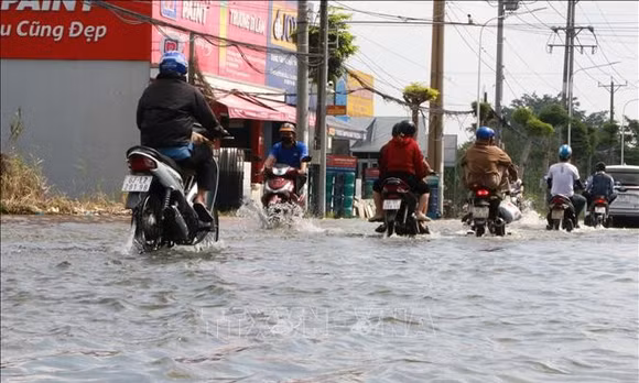 Đồng Tháp chủ động ứng phó triều cường và sạt lở trong mùa mưa