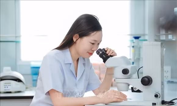 Phó giáo sư, Tiến sĩ, bác sĩ Nguyễn Thị Thu Phương, Trưởng khoa Dược học, Trường Đại học Y Dược Hải Phòng làm việc trong phòng thí nghiệm. Ảnh: Mạnh Minh/TTXVN