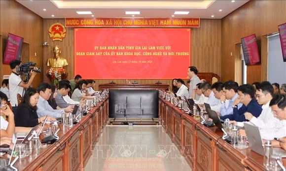 Giám sát việc ban hành, thực hiện chính sách, pháp luật về chuyển đổi số