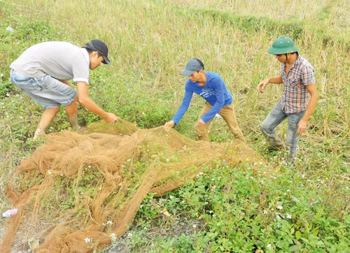 Mùa săn chuột đồng ảnh 1