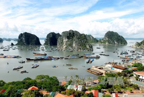 Lấn biển xây biệt thự ở vịnh Hạ Long, nên chăng? ảnh 1