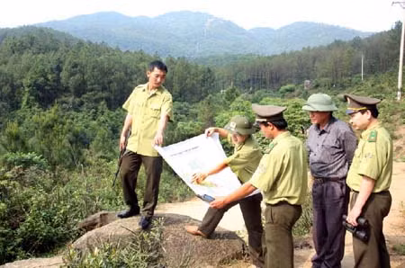 Số vụ phá rừng đã giảm ảnh 1