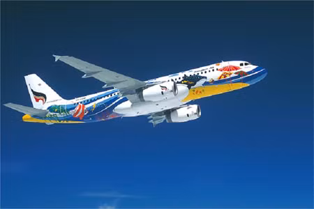 Cambodia bắn nhầm máy bay dân sự của Thailand ảnh 1