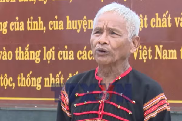 Những 'cây đại thụ' giữa đại ngàn Tây Nguyên