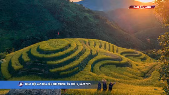 Bản tin ảnh chiều 11/10