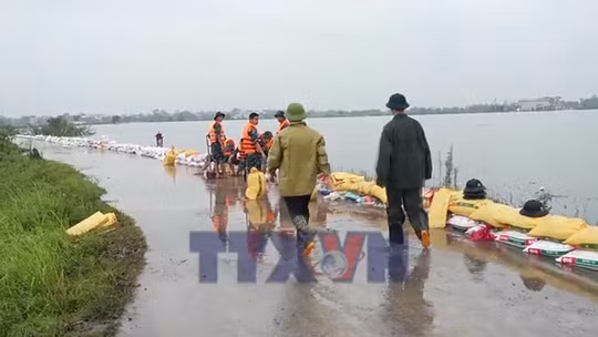 'Rốn lũ' Trần Phú chủ động ứng phó ngập lụt