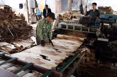 Muốn ngân hàng hết e ngại ảnh 1