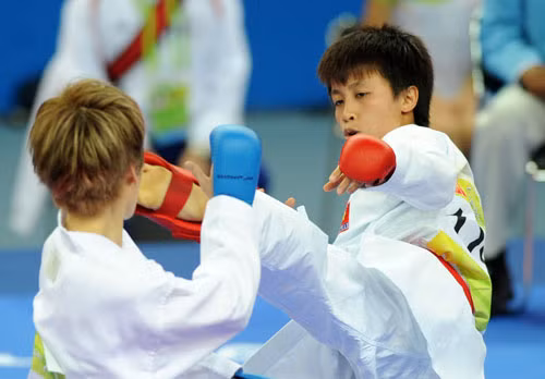 Cú huých cho karatedo ảnh 1