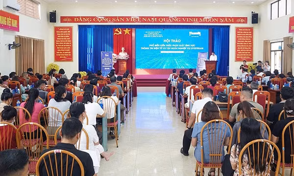 Nâng cao kỹ năng livestream cho báo chí, KOL, KOC và hộ kinh doanh
