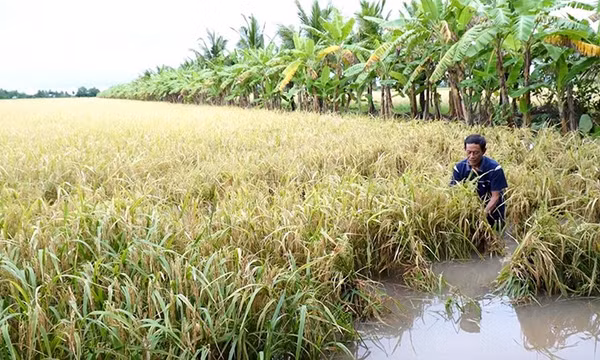 Mưa lớn từ Thanh Hóa đến Bắc Quảng Trị, cảnh báo nguy cơ lốc xoáy