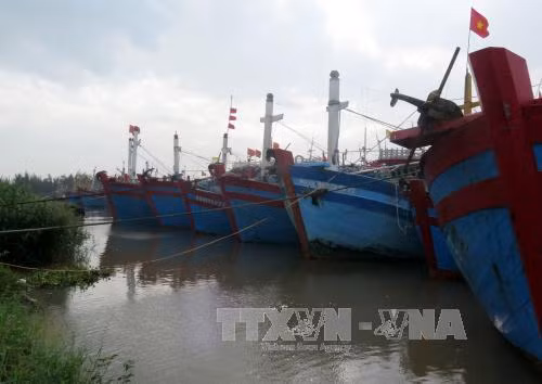 Thuyền về kín bến Nam Định, Quảng Ninh tránh bão ảnh 9