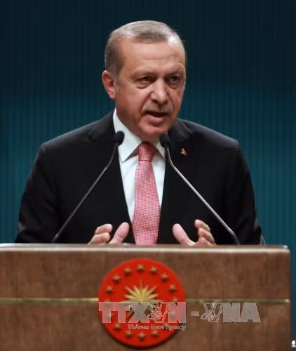 Hậu đảo chính: Tổng thống Tayip Erdogan tìm cách trấn an các nhà đầu tư ảnh 1