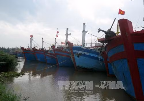 Huyện Bạch Long Vĩ đã có gió giật trên cấp 12 ảnh 2