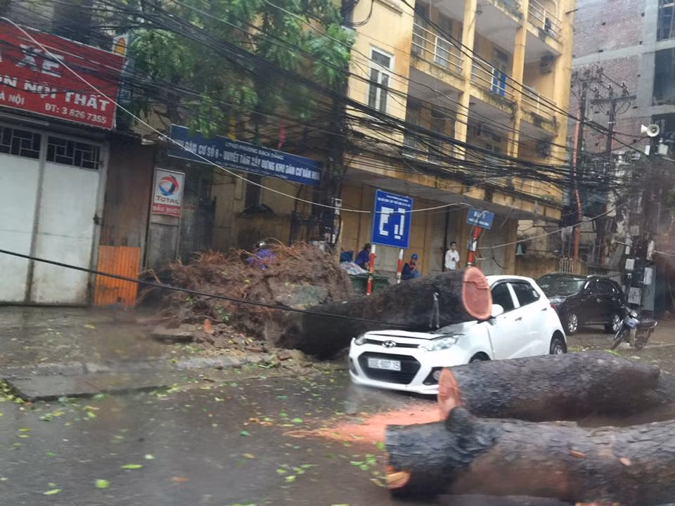 Hà Nội nghiêng ngả, cây đổ phố ngập vì bão ảnh 10