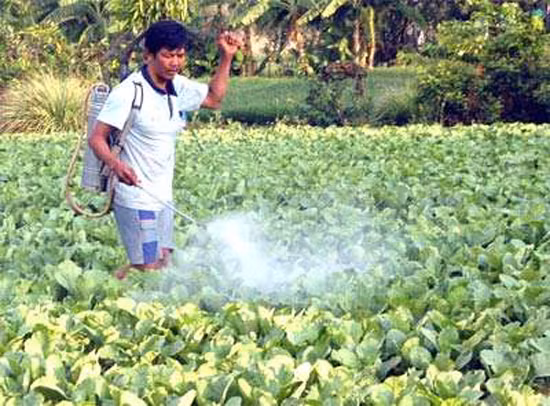 Gia tăng ngộ độc thuốc bảo vệ thực vật ở Sơn La ảnh 1