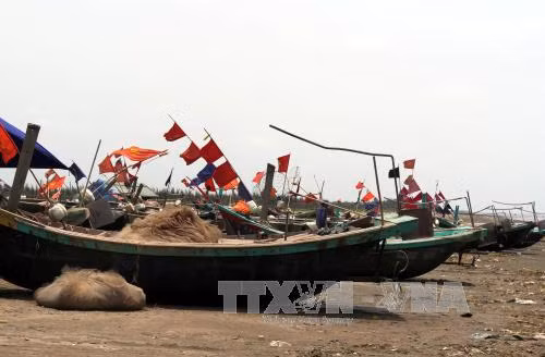 Thuyền về kín bến Nam Định, Quảng Ninh tránh bão ảnh 7