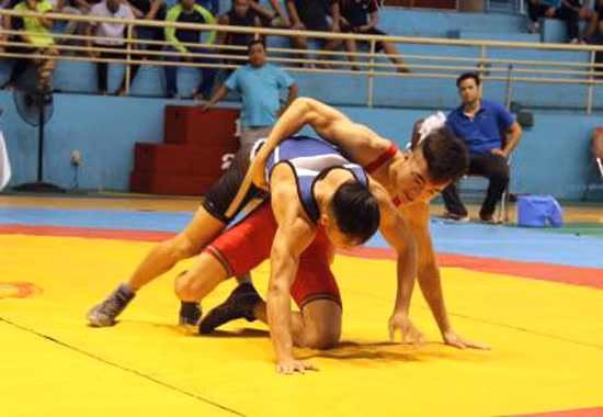 Khai mạc Giải vật toàn quốc ảnh 1