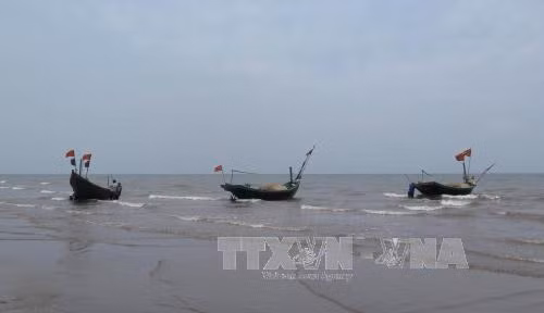 Thuyền về kín bến Nam Định, Quảng Ninh tránh bão ảnh 6