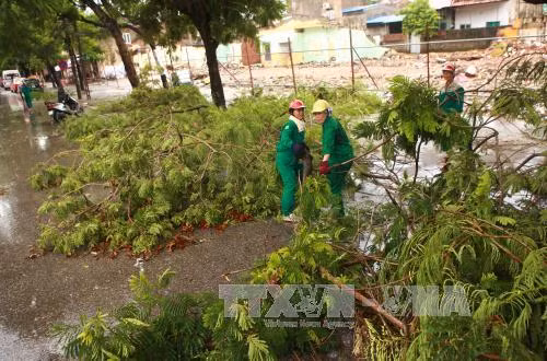 Hải Phòng: Không chủ quan dù bão số 1 đã suy yếu ảnh 4
