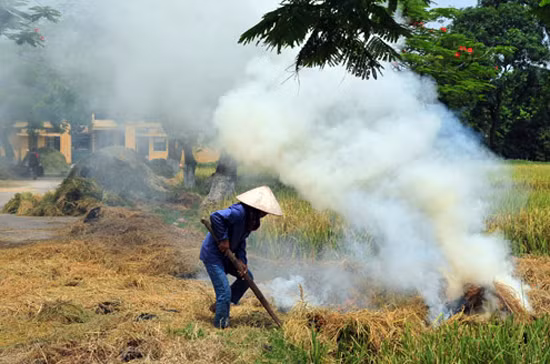 Đốt rơm ven quốc lộ gây nguy hiểm ảnh 1