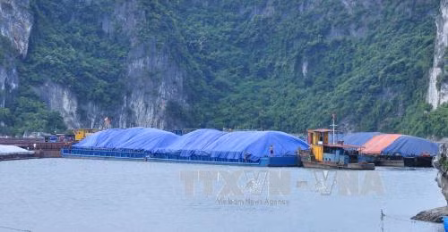 Thuyền về kín bến Nam Định, Quảng Ninh tránh bão ảnh 4