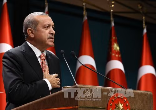 Truy lùng nhóm lính âm mưu ám sát Tổng thống Erdogan ảnh 1