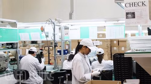 Séc xử lý mạnh lao động "chui" ảnh 1
