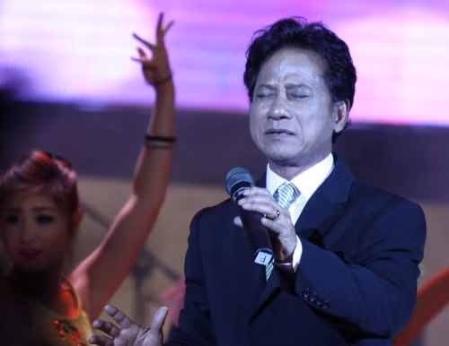 Live show Chế Linh bị rút giấy phép! ảnh 1