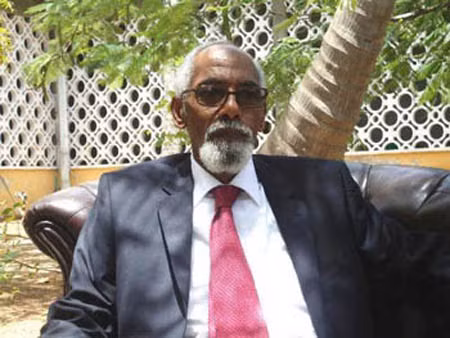 Quốc hội Somalia bầu Chủ tịch mới ảnh 1