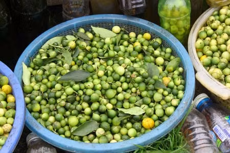 Mẫu Sơn, 'nàng công chúa' ngủ trong rừng ảnh 4