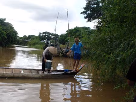 Đồng bằng sông Cửu Long chủ động đón lũ về - Bài 1: Lũ về - rộn ràng mùa nước nổi ảnh 1