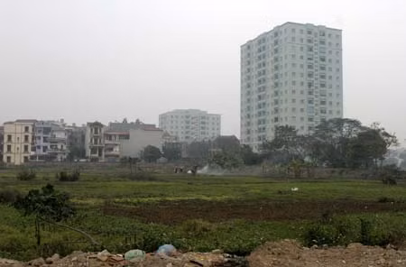 Thủ tướng yêu cầu rà soát đất công ty nông, lâm nghiệp ảnh 1