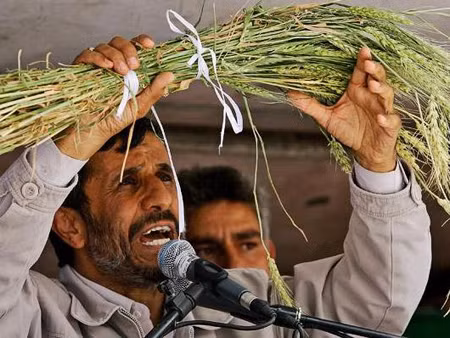 Iran 'lặng lẽ' mua lúa mỳ trên thị trường thế giới ảnh 1