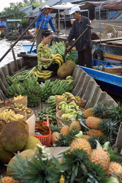 Quản lý hoạt động thu mua nông sản của thương nhân nước ngoài ảnh 1