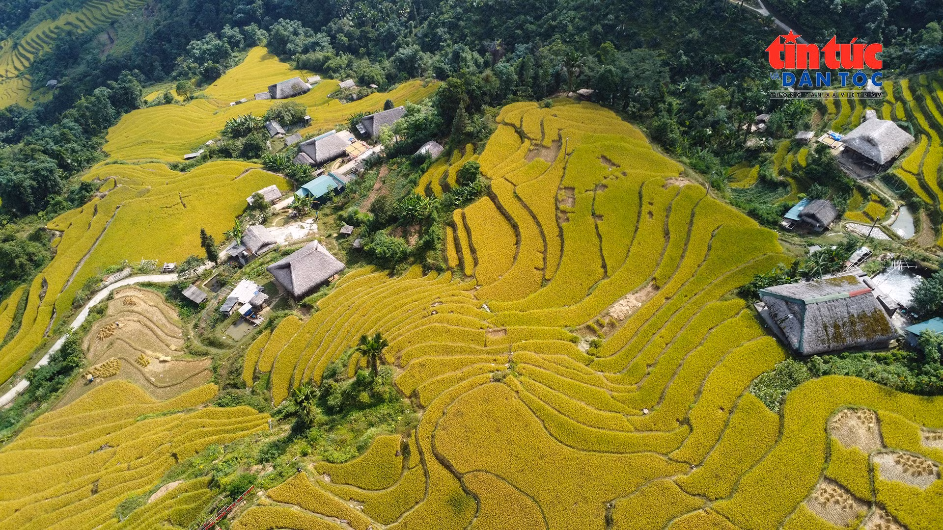 dji-0766.jpg