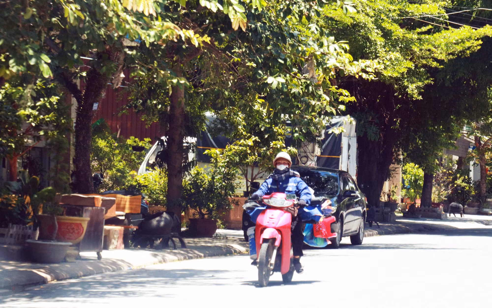 3009nang.jpg