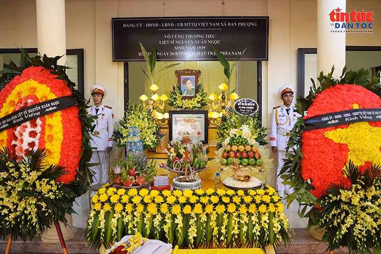 ttdt1119.jpg