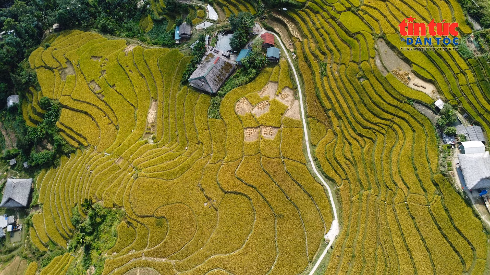 dji-0763.jpg