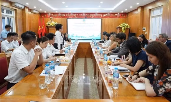 Chia sẻ kinh nghiệm xử lý các vụ án tranh chấp sở hữu trí tuệ