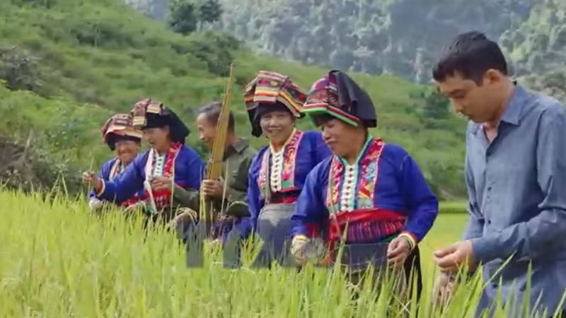 Tết Khẩu Hó mừng lúa mới vùng biên
