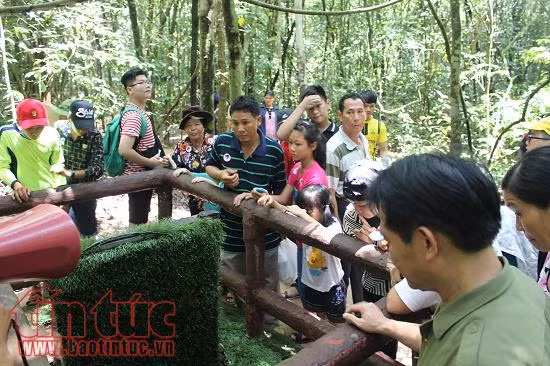 TP Hồ Chí Minh tăng cường các hoạt động thu hút khách quốc tế dịp cuối năm ảnh 1