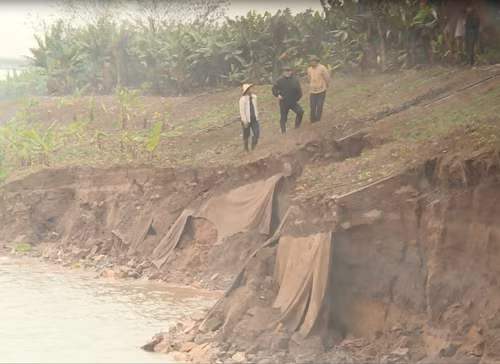 Khắc phục sự cố sạt lở kè Lam Sơn trên đê tả sông Hồng ảnh 1