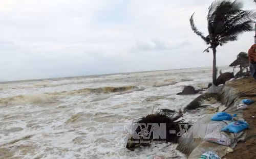 Đề xuất các biện pháp khẩn cấp bảo vệ bờ biển Cửa Đại, Hội An ảnh 1