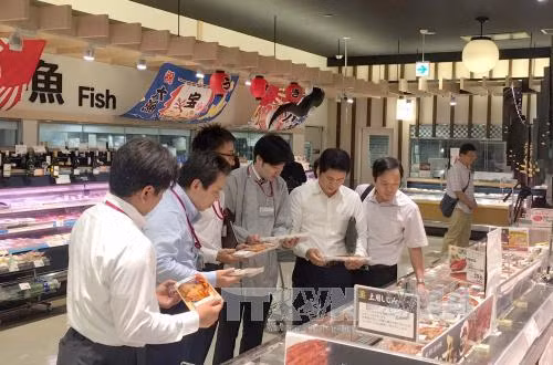 Cá tra Việt Nam đạt tiêu chuẩn hàng đầu trong hệ thống siêu thị AEON ảnh 2