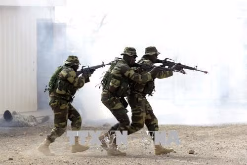 Mỹ và 20 nước bắt đầu cuộc diễn tập quân sự 'Flintlock 2018' tại châu Phi ảnh 1