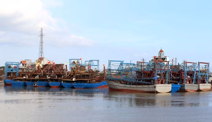 Nam Định khai thác hải sản bền vững ảnh 1