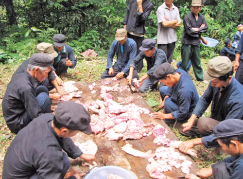 Lễ cúng thần rừng ảnh 6