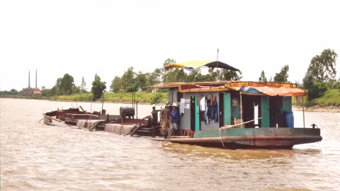 Nhức nhối nạn “cát tặc” trên sông Đáy ảnh 1